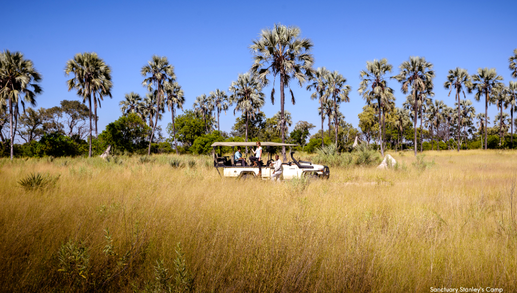 Stanleys-Camp-game-drive